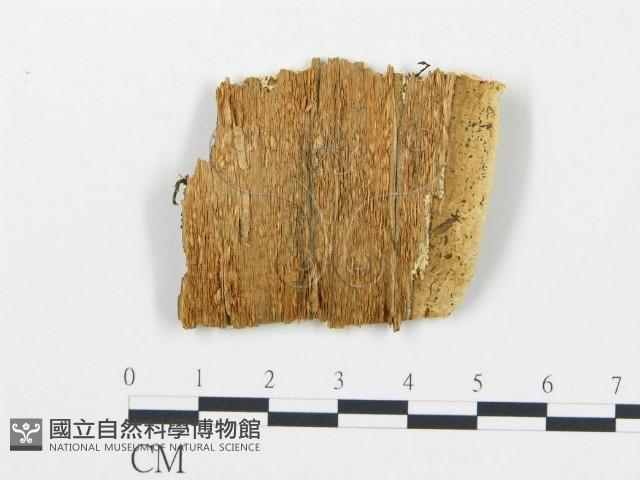 登錄號:F0006070藏品圖，第3張