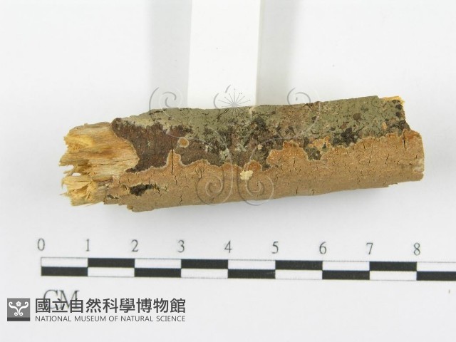 登錄號:F0005070藏品圖，第3張