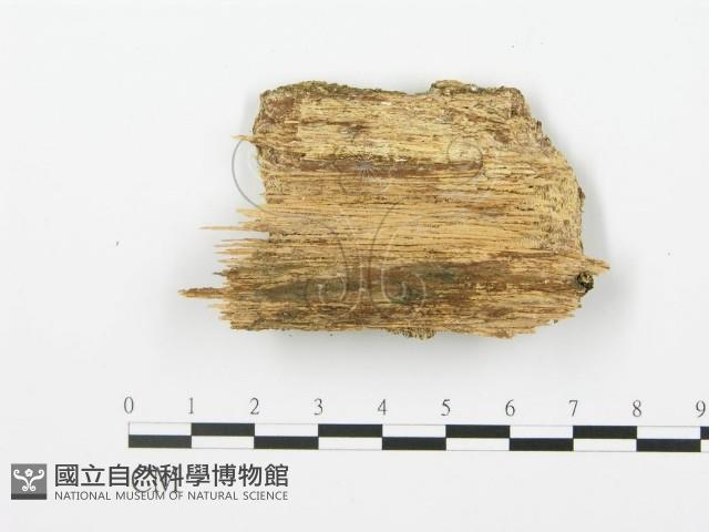 登錄號:F0006370藏品圖，第3張