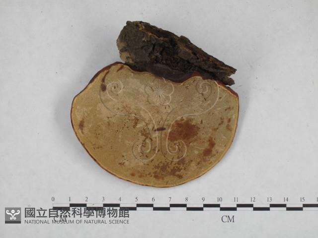 登錄號:F0023370藏品圖，第3張