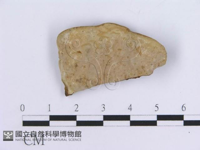 登錄號:F0018866藏品圖，第1張