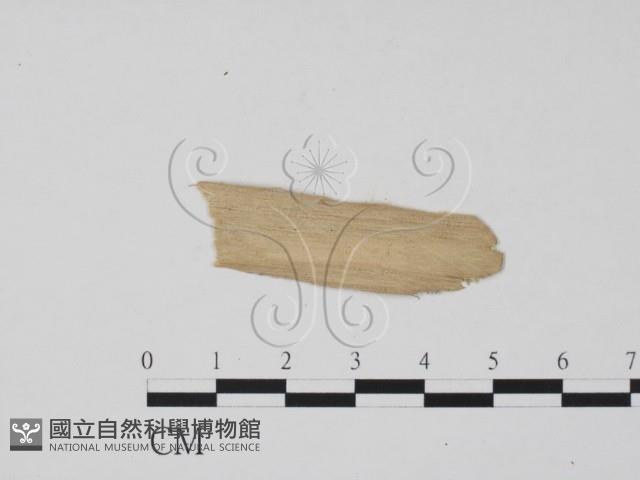 登錄號:F0011966藏品圖，第3張
