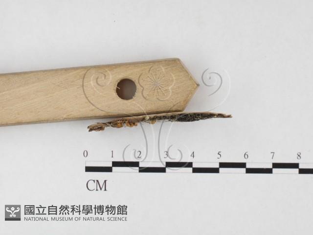 登錄號:F0026666藏品圖，第3張