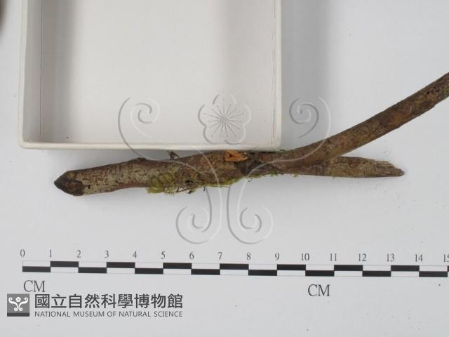 登錄號:F0001666藏品圖，第3張