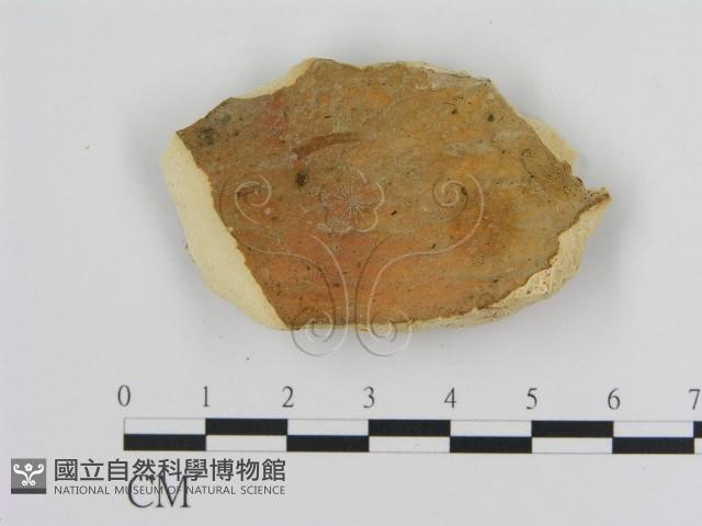 登錄號:F0016466藏品圖，第3張