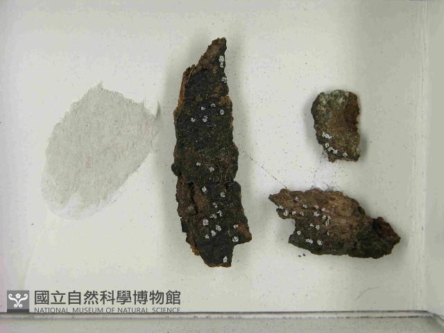登錄號:F0021466藏品圖，第3張