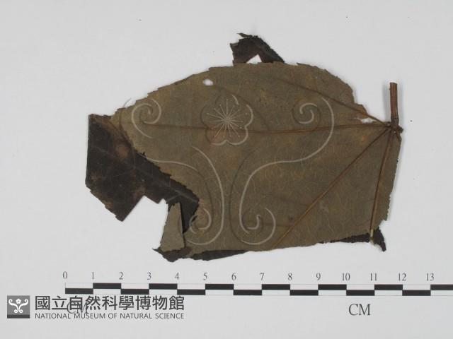 登錄號:F0019466藏品圖，第3張