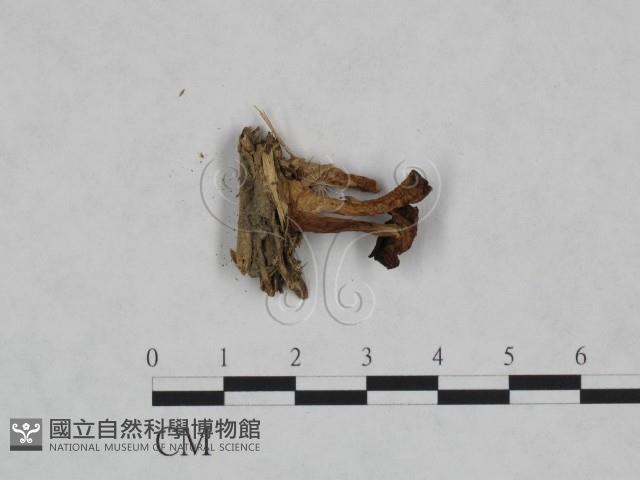 登錄號:F0023466藏品圖，第3張