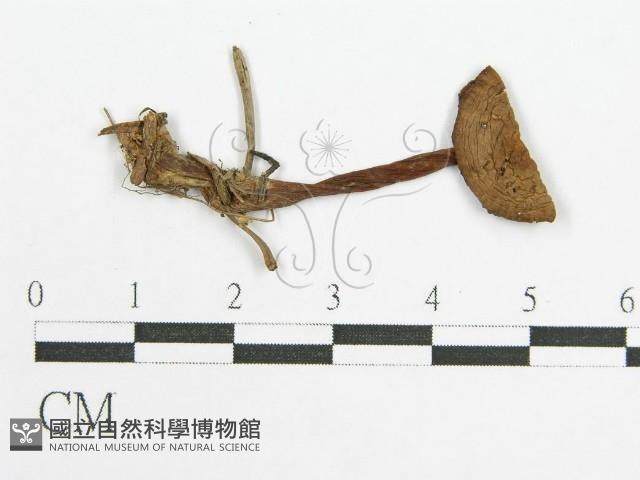 登錄號:F0004766藏品圖，第3張