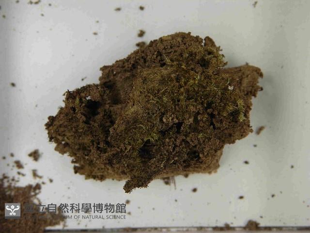 登錄號:F0021566藏品圖，第3張