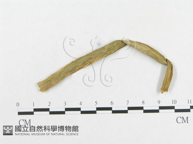 登錄號:F0004566藏品圖，第3張