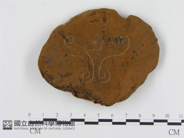 Accession Number:F0003566 Collection Image, Figure 1, Total 4 Figures