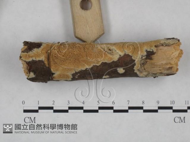 登錄號:F0025166藏品圖，第3張