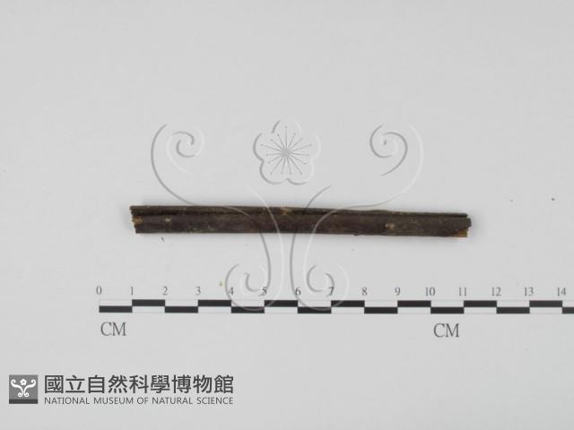 登錄號:F0003166藏品圖，第3張