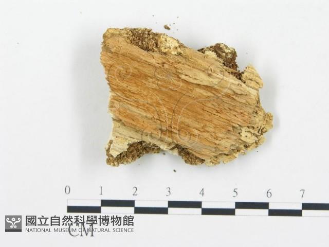 登錄號:F0006066藏品圖，第3張