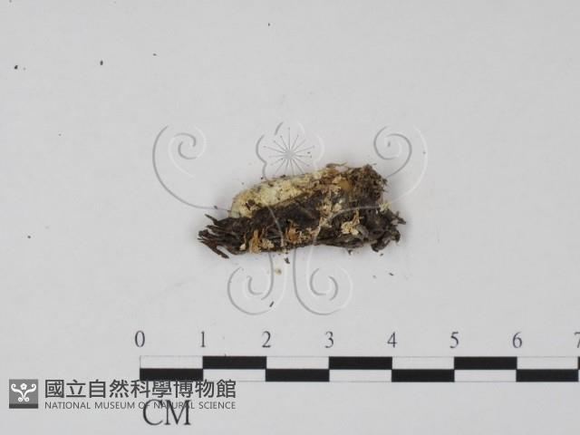 登錄號:F0004066藏品圖，第1張