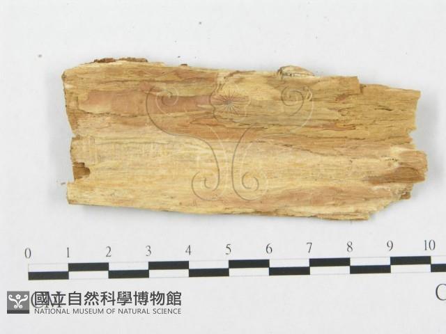 登錄號:F0007066藏品圖，第3張