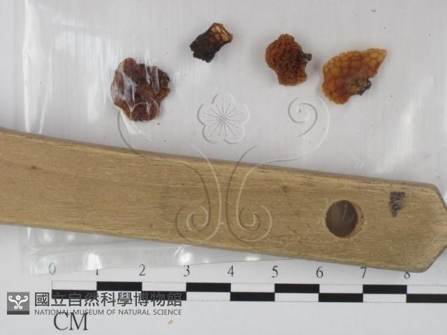 登錄號:F0023066藏品圖，第3張