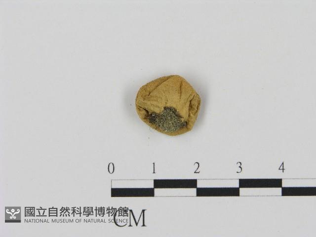 登錄號:F0004366藏品圖，第3張