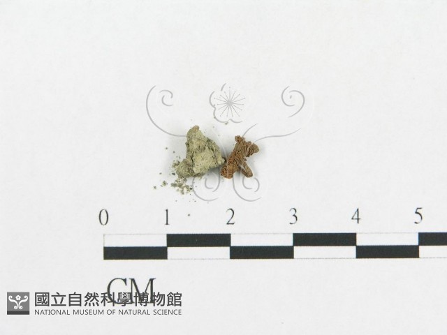 登錄號:F0014366藏品圖，第3張