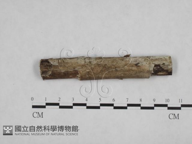 登錄號:F0024826藏品圖，第3張