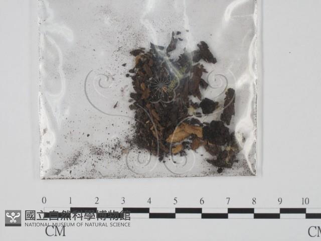 登錄號:F0009826藏品圖，第3張