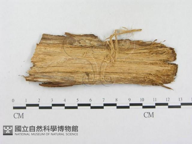 登錄號:F0000926藏品圖，第3張