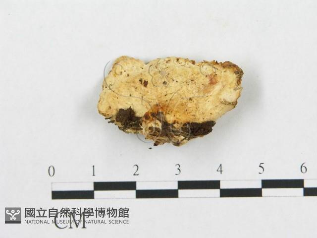 登錄號:F0005926藏品圖，第3張