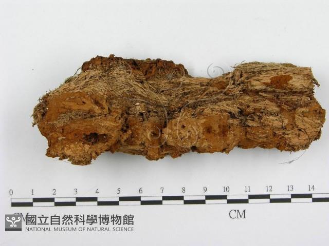 登錄號:F0004626藏品圖，第3張