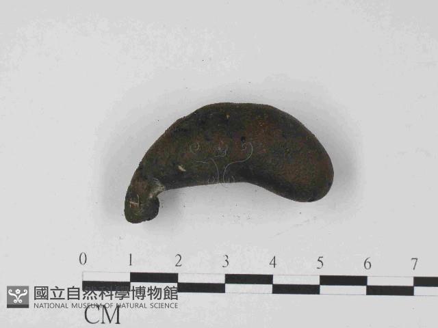 登錄號:F0014626藏品圖，第3張