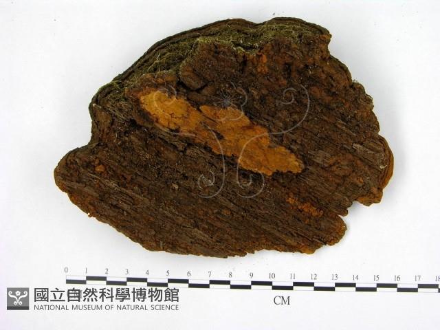 登錄號:F0005626藏品圖，第3張