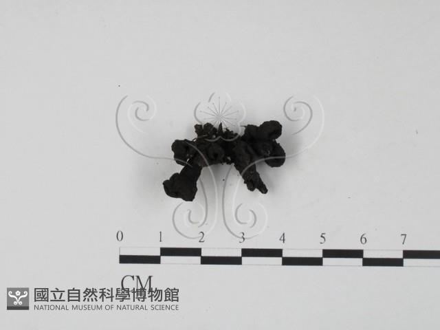 登錄號:F0021426藏品圖，第3張