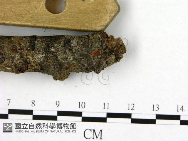 登錄號:F0003426藏品圖，第3張