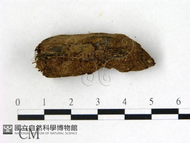 登錄號:F0000726藏品圖，第3張