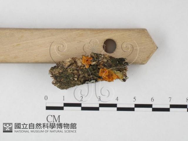 登錄號:F0026726藏品圖，第3張