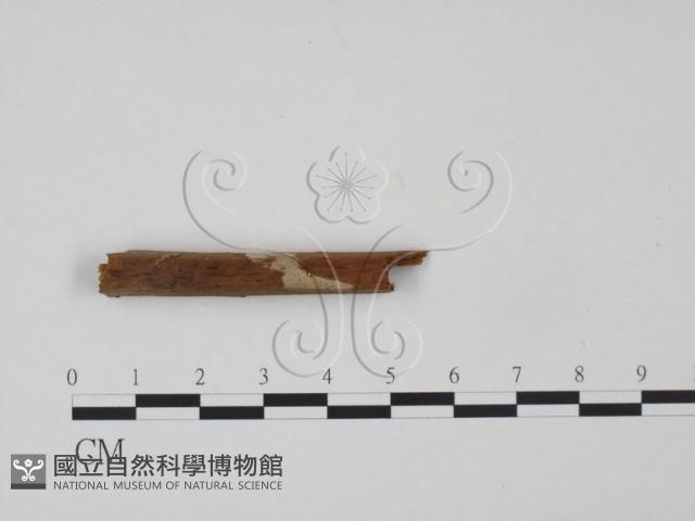 登錄號:F0016726藏品圖，第3張