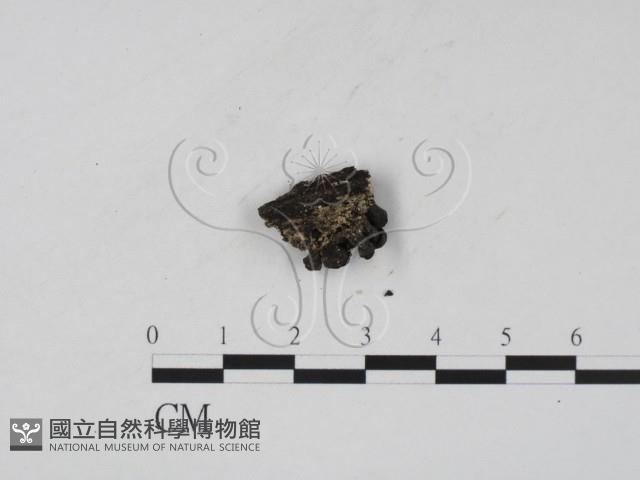 登錄號:F0007726藏品圖，第3張