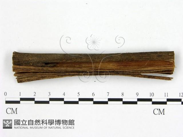 登錄號:F0015726藏品圖，第3張