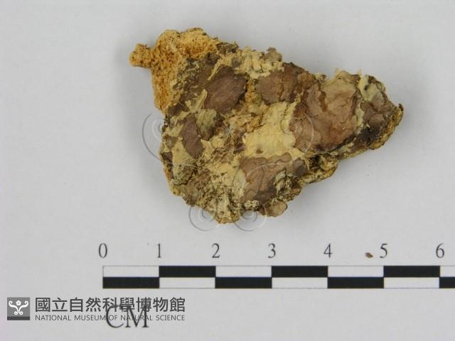 登錄號:F0006526藏品圖，第3張