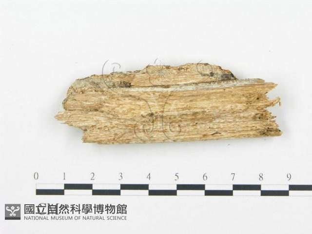 登錄號:F0014126藏品圖，第3張