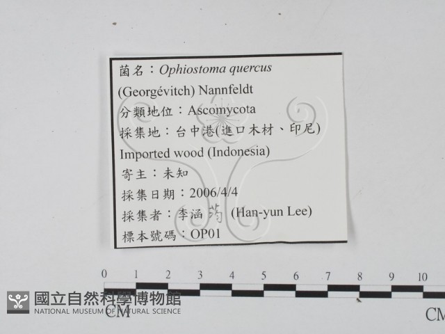 登錄號:F0022126藏品圖，第3張