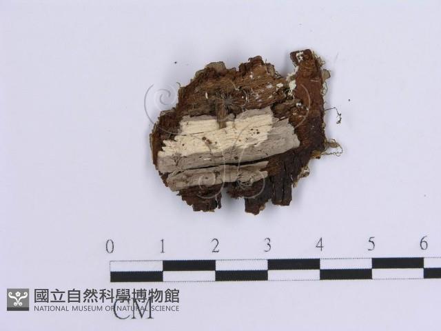 登錄號:F0012126藏品圖，第3張