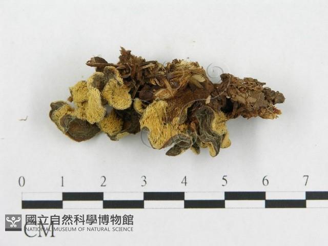 登錄號:F0014026藏品圖，第3張