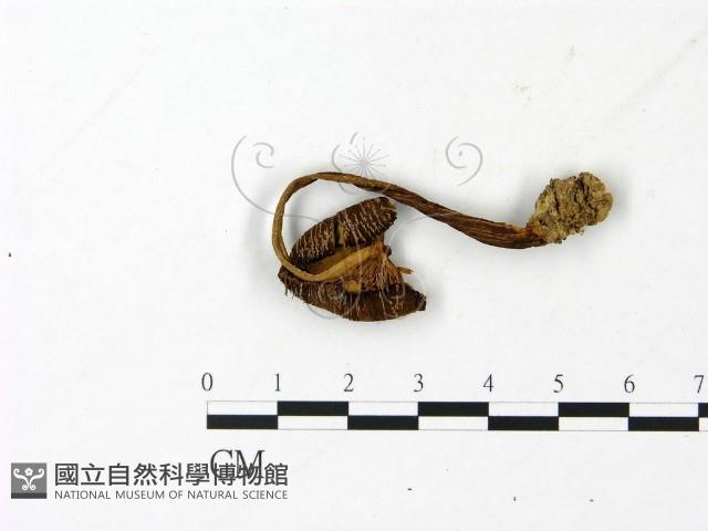 登錄號:F0023026藏品圖，第3張