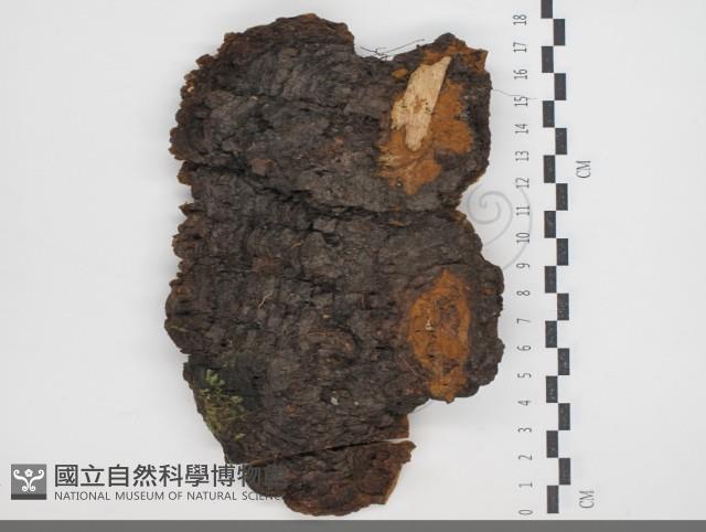 登錄號:F0034326藏品圖，第3張