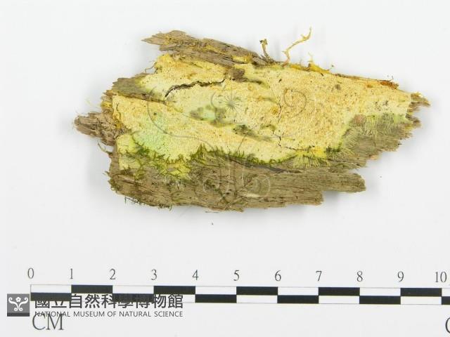 登錄號:F0017326藏品圖，第1張