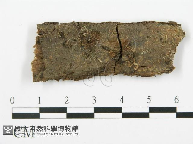 登錄號:F0003206藏品圖，第1張