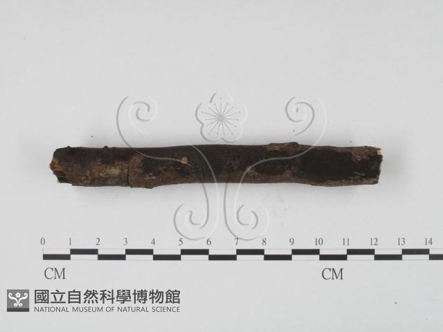 登錄號:F0008806藏品圖，第3張