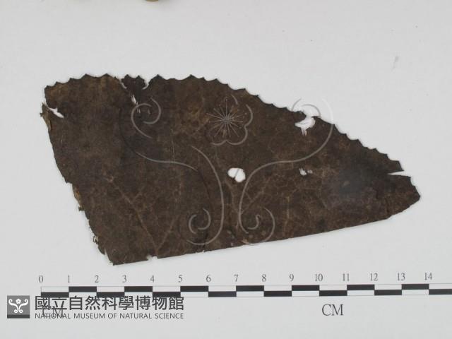 登錄號:F0018906藏品圖，第3張