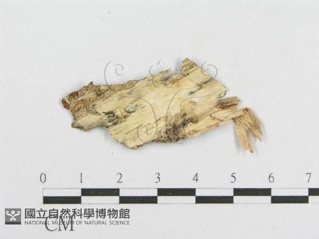 登錄號:F0002906藏品圖，第3張